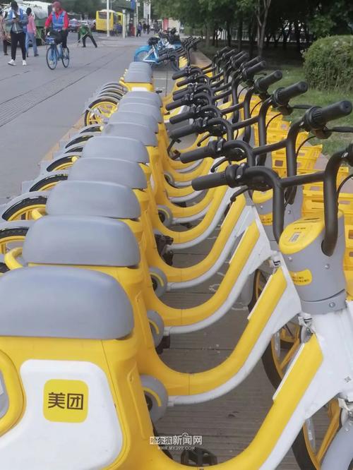 新澳2025正版免費資料和海口禁止共享电单车与海口禁止共享电单车吗