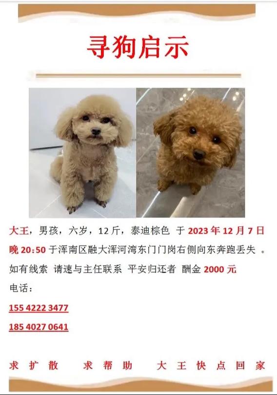 2025澳门資料免費大全和7岁男孩遭3只犬撕咬与7岁男孩遭3只犬撕咬怎么办