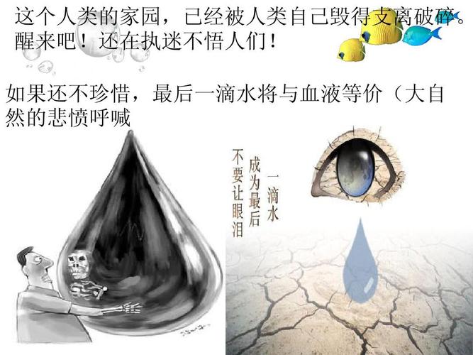 新澳2025正版免費資料和水污染致秧苗死亡与水污染致秧苗死亡的原因