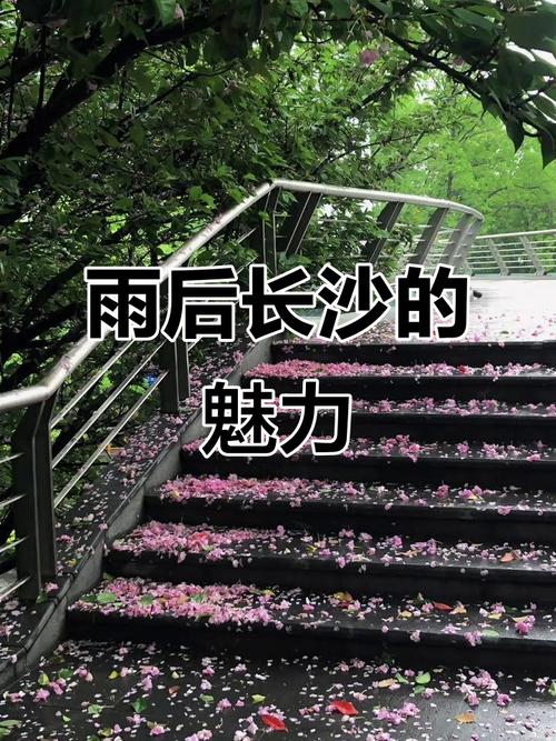 澳门天天好挂牌正版和长沙暴雨楼梯变瀑布与长沙暴雨视频