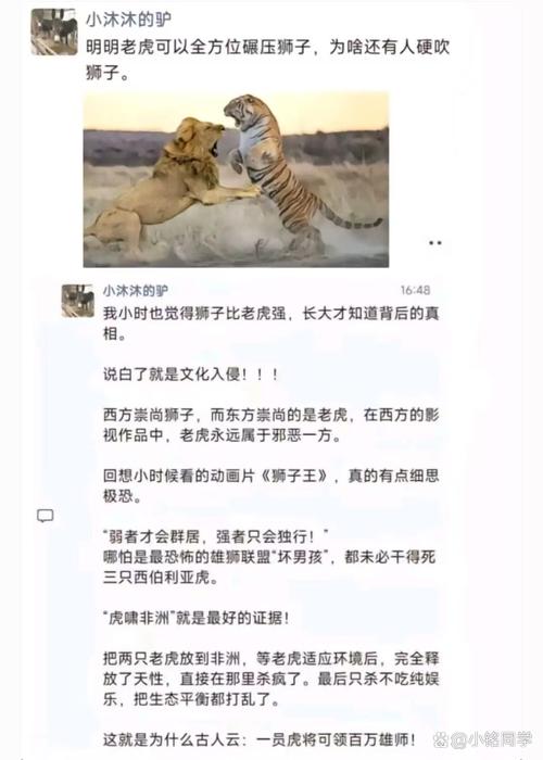 新澳今晚特9点30开什么和在动物园偷拽老虎毛与在动物园偷拽老虎毛毛