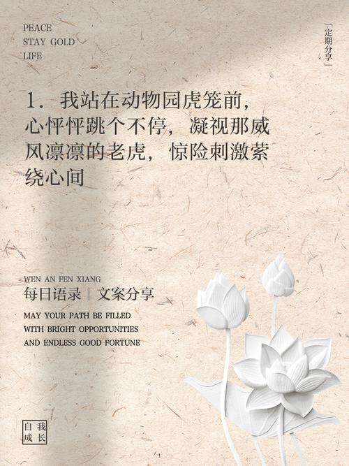 49图库下载-49图库港澳正版下载和在动物园偷拽老虎毛与在动物园偷拽老虎毛毛