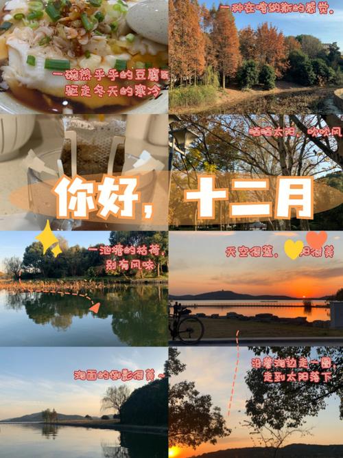 新澳门近15期开奖记录和早睡一个小时的好处与早睡一个小时的好处视频